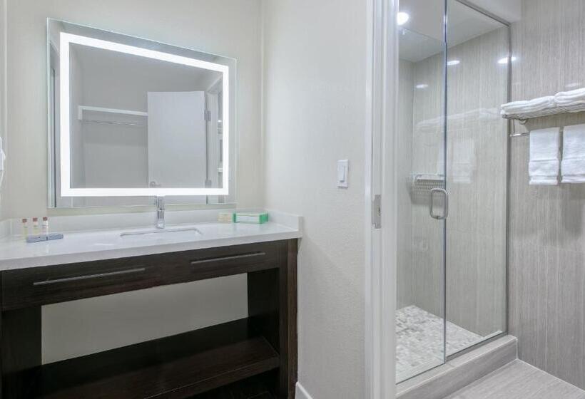 带大床的套房, Hawthorn Extended Stay By Wyndham Mcallen