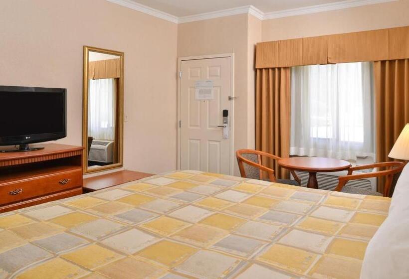 스탠다드 룸 킹사이즈 침대, Starlight Inn Joshua Tree   29 Palms
