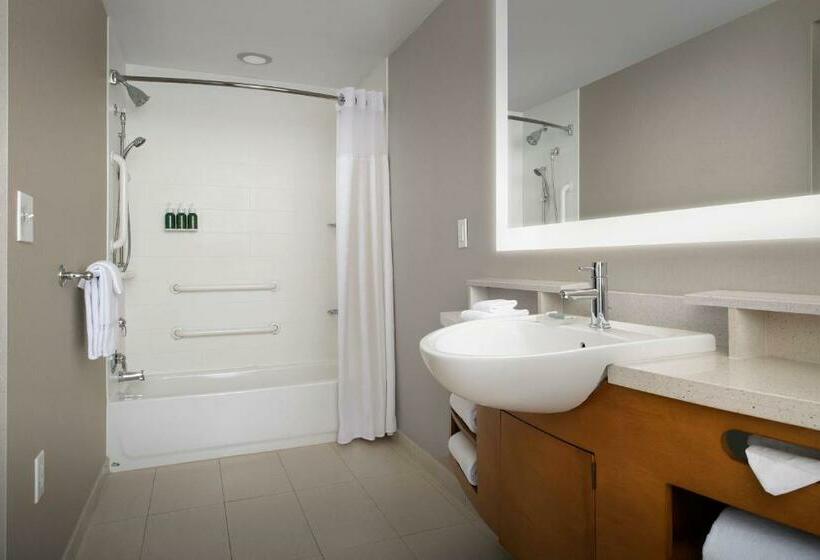 Студия Стандарт, Springhill Suites By Marriott Tuscaloosa