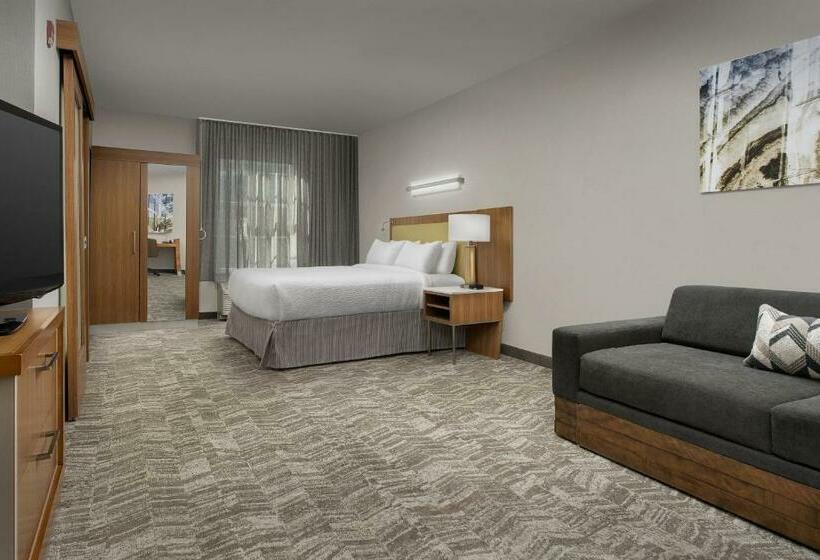 Студия Стандарт, Springhill Suites By Marriott Tuscaloosa