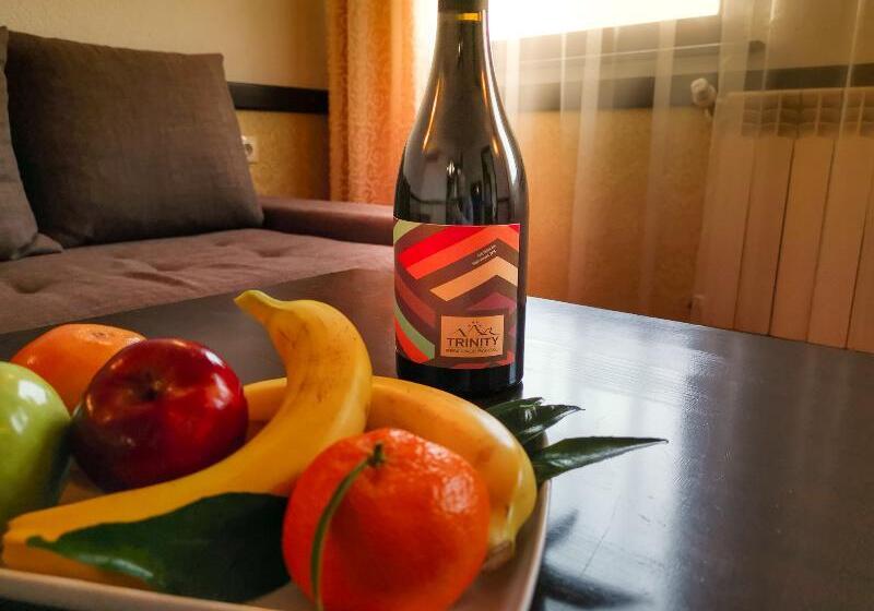 스탠다드 룸, Trinity Residence Bansko