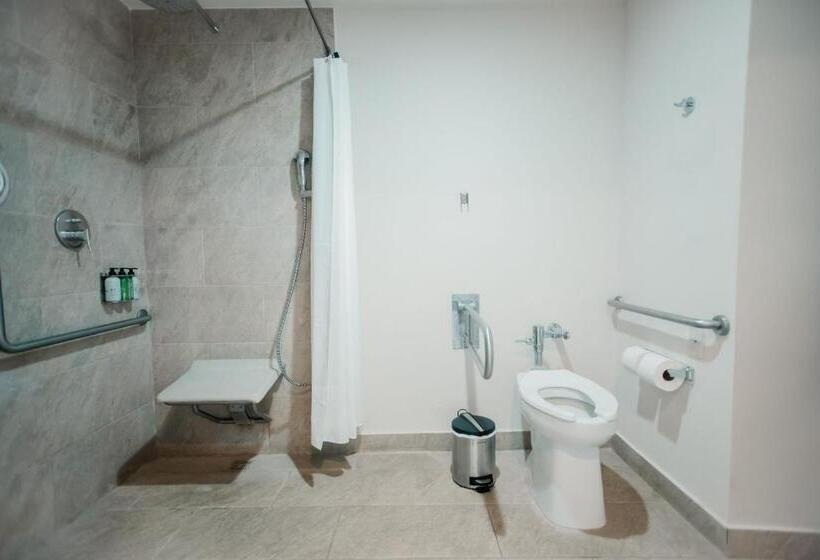 اتاق استاندارد با تخت بزرگ برای معلولان, Wyndham Tamarindo