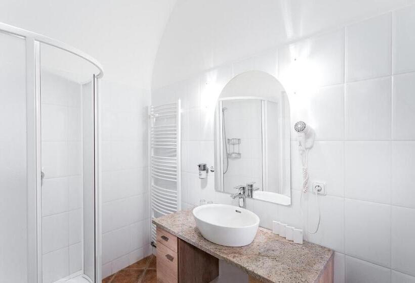 带1个卧室的高级公寓, Wine Wellness Hotel Amande Hustopeče