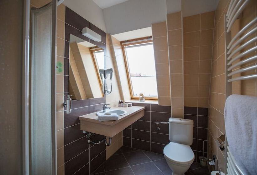 标准单人间, Wine Wellness Hotel Amande Hustopeče