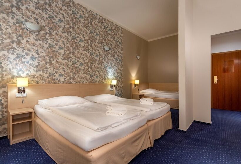 标准三人间, Wine Wellness Hotel Amande Hustopeče