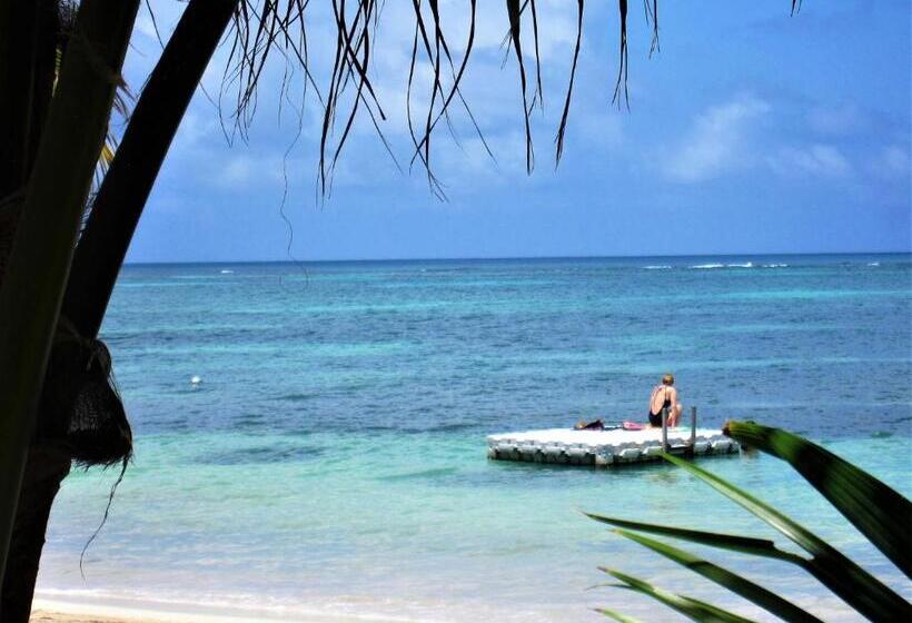 스탠다드 룸, Little Corn Island Beach And Bungalow
