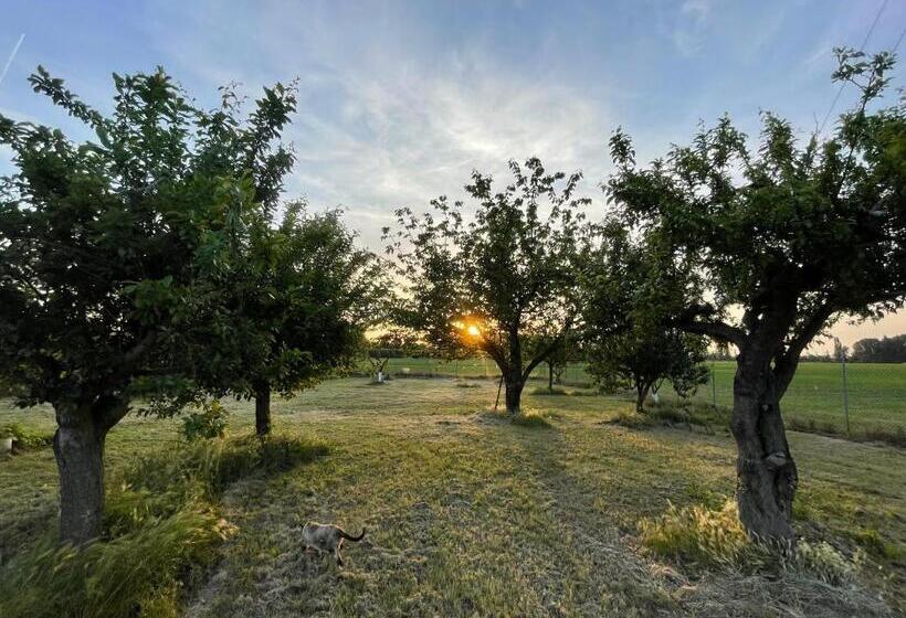 Дом 2 Спальни, Malamù Bnb Eventi