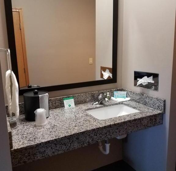 Номер Стандарт Кровать Кинг Адаптированный для Инвалидов, Okoboji Inn & Suites
