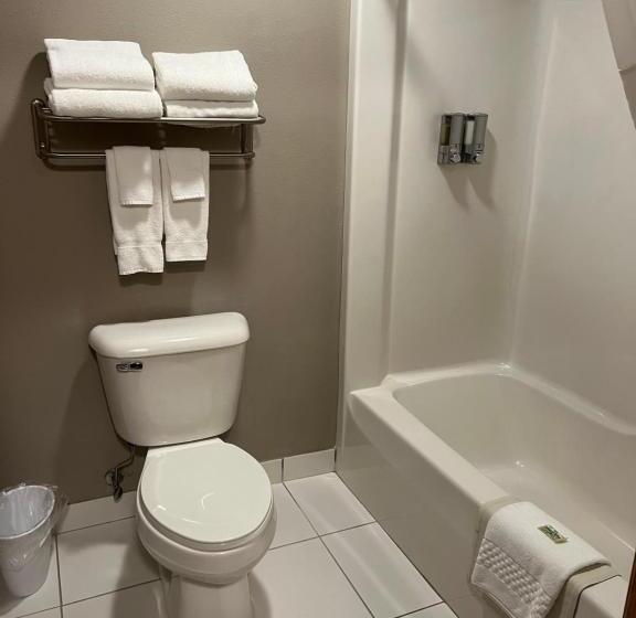 Стандартный Номер Кровать Кинг, Okoboji Inn & Suites