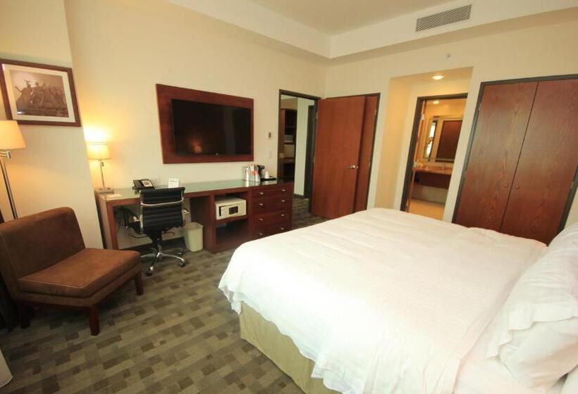 스탠다드 룸 킹사이즈 침대, Holiday Inn & Suites Plaza Mayor, An Ihg