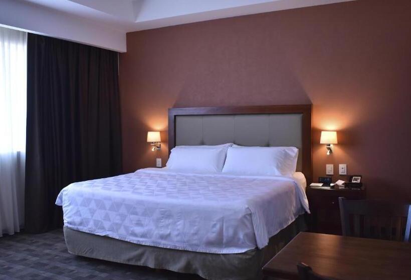 스탠다드 룸 킹사이즈 침대, Holiday Inn & Suites Plaza Mayor, An Ihg