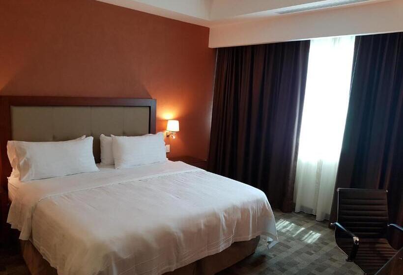 장애인을 위한 킹사이즈 침대 스탠다드 룸, Holiday Inn & Suites Plaza Mayor, An Ihg
