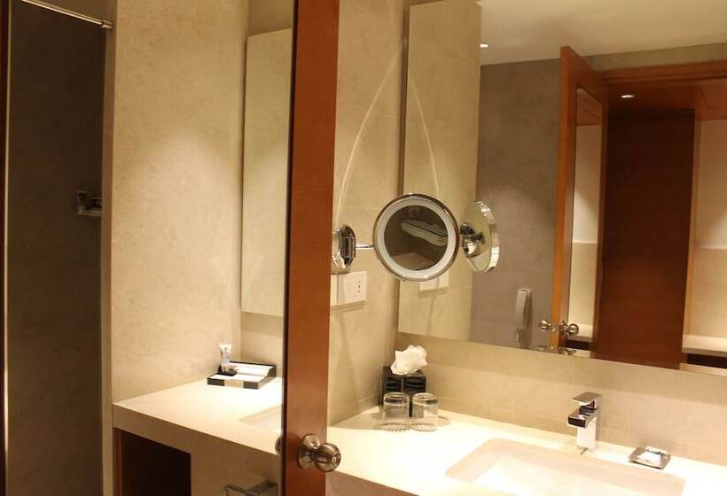 Номер Superior Вид на Город, Mercure Hyderabad Kcp Banjara Hills, An Accor