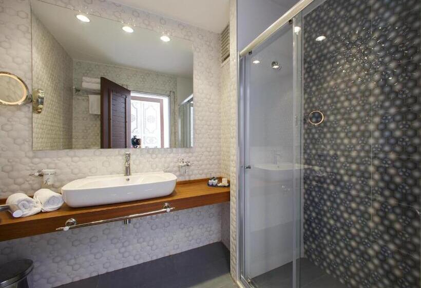 家庭间, Assos Barbarossa Hotel   Special Class