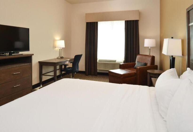 스탠다드 룸 킹사이즈 침대, Holiday Inn Express & Suites Globe, An Ihg