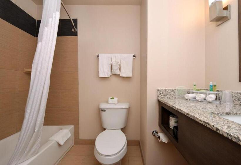 Стандартный Номер Кровать Кинг, Holiday Inn Express & Suites Globe, An Ihg