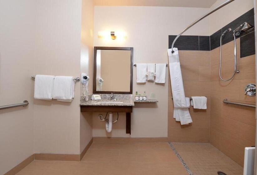 Номер Стандарт Адаптированный для Инвалидов, Holiday Inn Express & Suites Globe, An Ihg