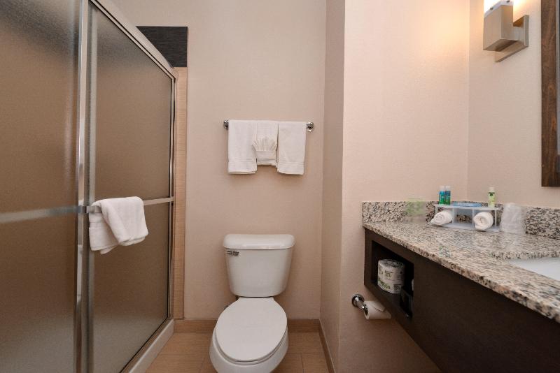 Стандартный Номер Кровать Кинг, Holiday Inn Express & Suites Globe, An Ihg