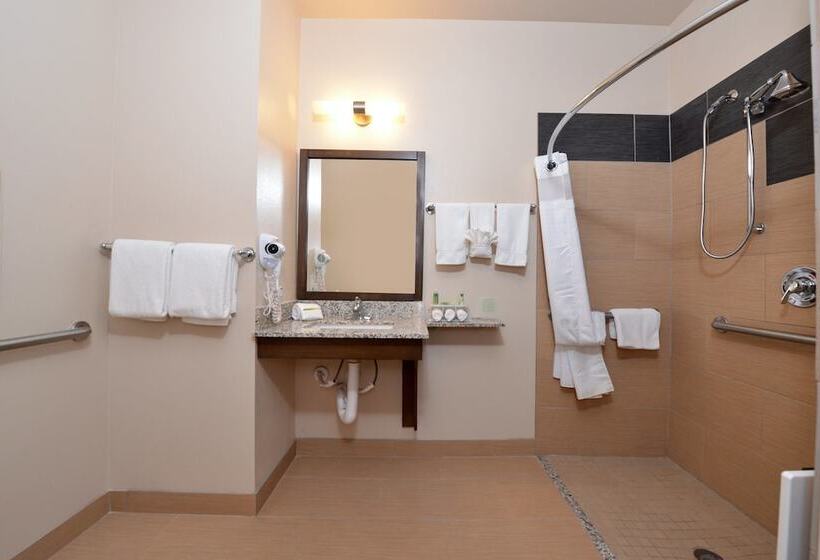 Номер Стандарт Адаптированный для Инвалидов, Holiday Inn Express & Suites Globe, An Ihg
