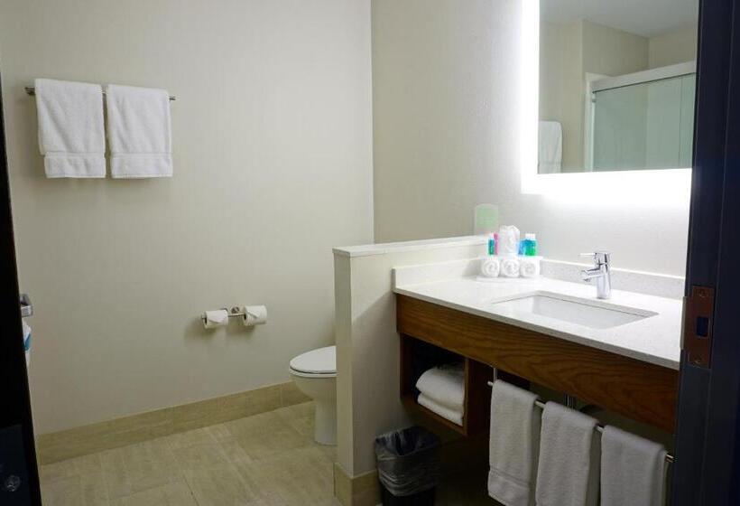장애인을 위한 킹사이즈 침대 스탠다드 룸, Holiday Inn Express & Suites Omaha   Millard Area, An Ihg