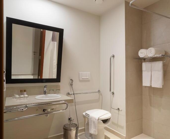 Номер Стандарт, Tulip Inn Sete Lagoas