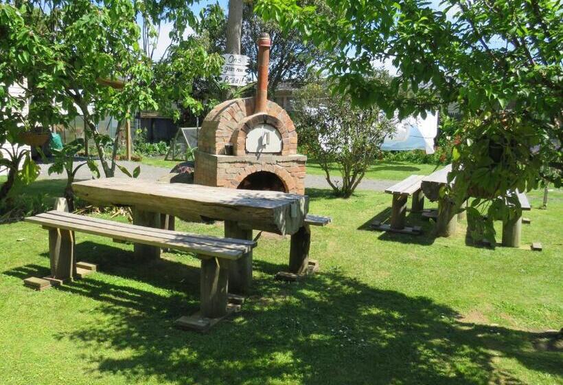Семейный Номер Совместный Санузел, Braemar House B&b And Yha Hostel