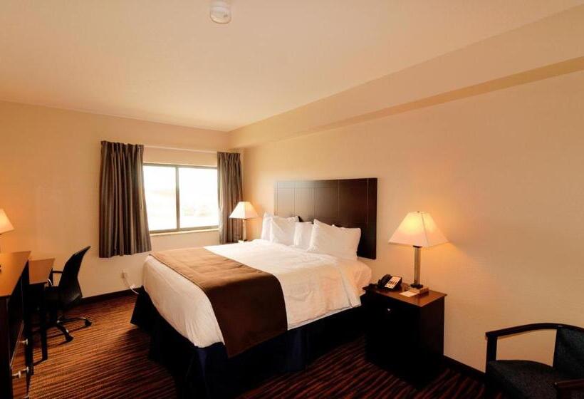 스탠다드 룸 킹사이즈 침대, Cobblestone Inn & Suites   Denison | Oak Ridge