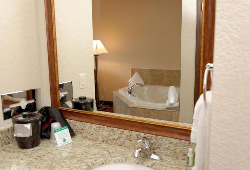 자쿠지 스위트, Cobblestone Inn & Suites   Denison | Oak Ridge