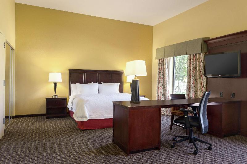 Студио Стандарт Кровать Кинг, Hampton Inn & Suites Prattville