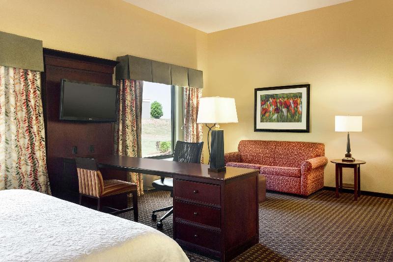 Студио Стандарт Кровать Кинг, Hampton Inn & Suites Prattville
