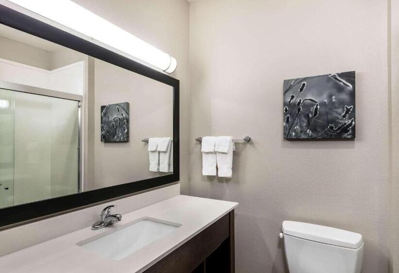 Номер Стандарт Кровать Кинг Адаптированный для Инвалидов, La Quinta By Wyndham Claremore