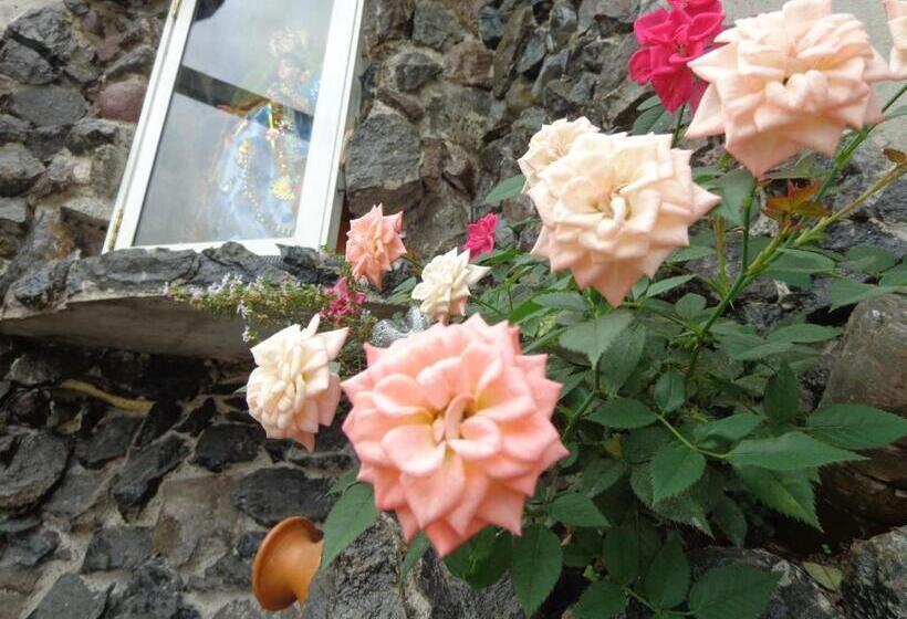 4인용 스탠다드 룸, Flor Del Campo