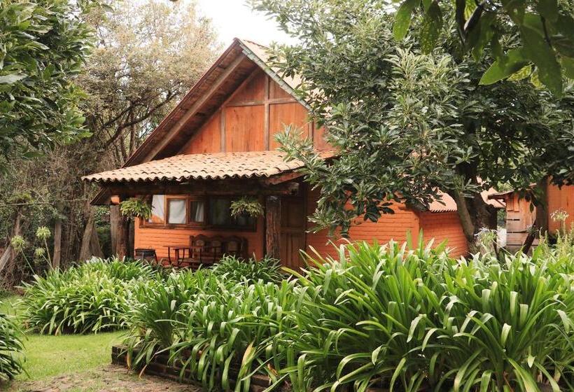 Chalet 1 Chambre, La Huerta