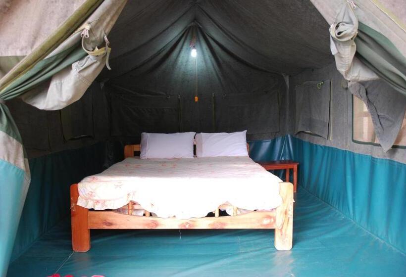 چادر با خدمات رفاهی استاندارد, Crater Bay Cottages