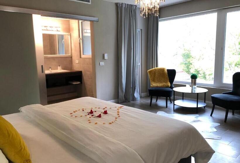اتاق استاندارد با تخت بزرگ, Vila Roca Hotel And Spa