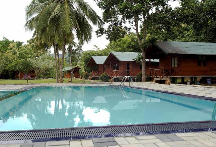 اتاق لوکس, The Mastodon Valley Safari Resort
