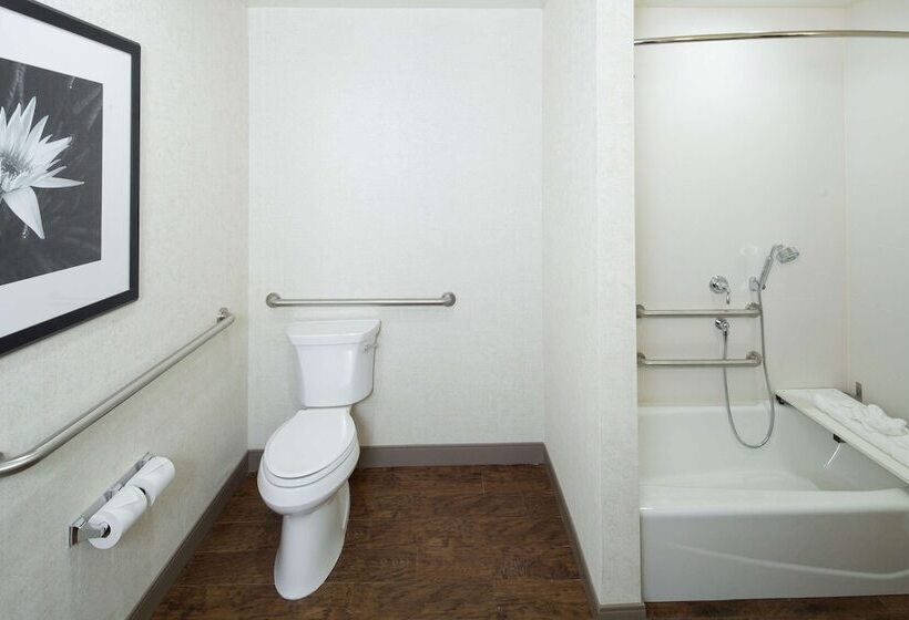 Номер Стандарт Кровать Кинг Адаптированный для Инвалидов, Hilton Garden Inn Longview