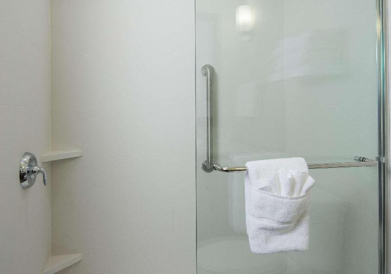 Люкс Кровать Кинг, Hilton Garden Inn Longview