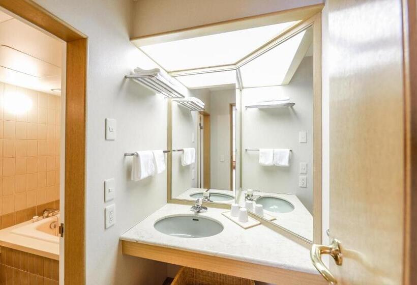 Номер Deluxe, Chateraise Hotel Nirasaki No Mori