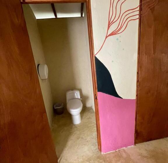 공동 객실, Makai Beach Hostel