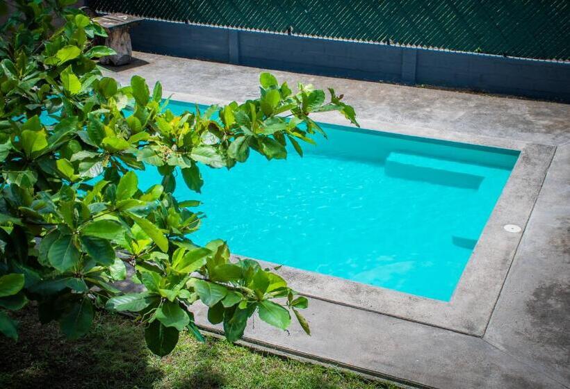 اتاق خانوادگی, Hostal Don Luis