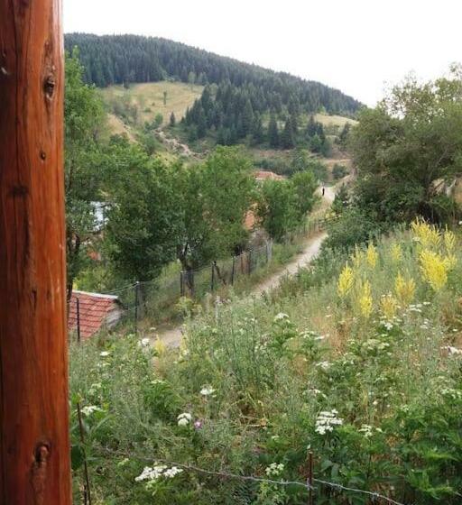 اتاق استاندارد با چشم‌انداز کوهستان, Villa Vrben