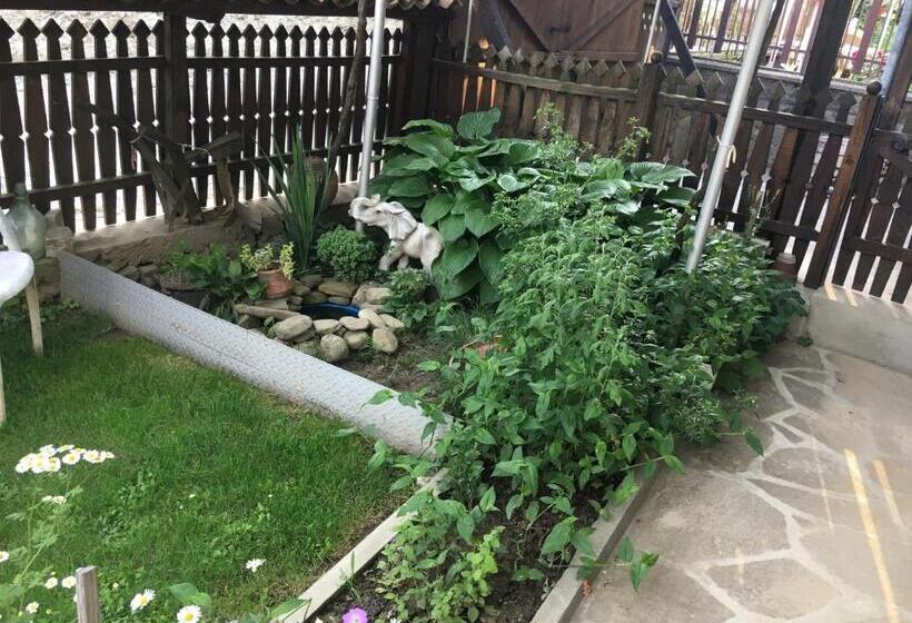 Семейный Номер, Dyadovata Kashta