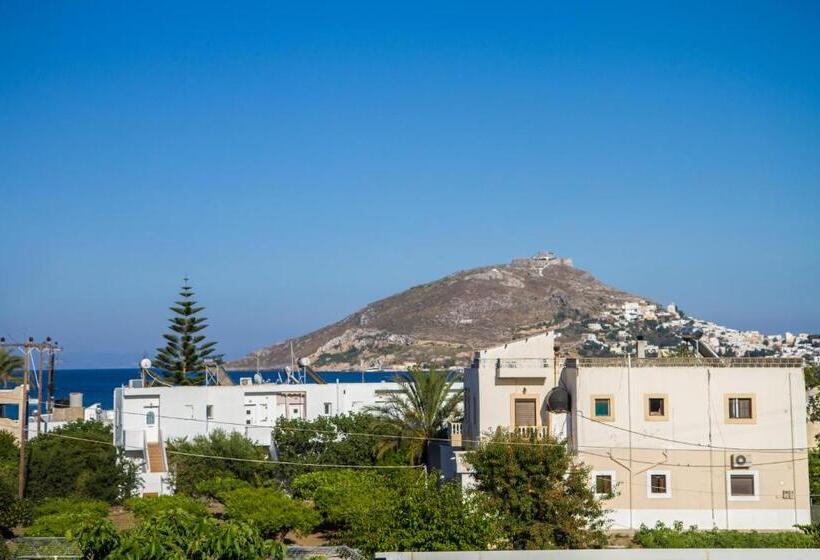 Студия Стандарт Вид на Море, Irene Hotel Leros
