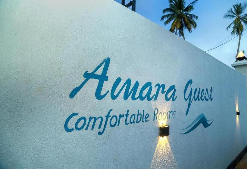 Camera Standard, Amara Guest