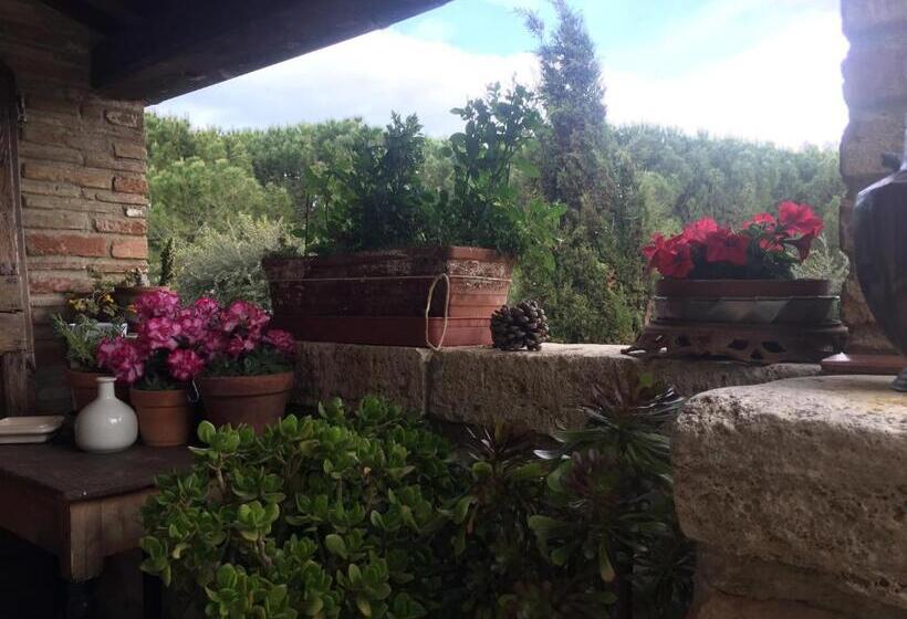 带1个卧室的豪华别墅, La Vittoria 10 – La Soglia Della Val D’orcia