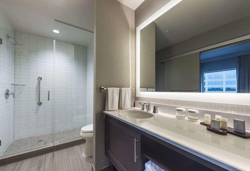 Студия Стандарт Двуспальная Кровать, Embassy Suites By Hilton The Woodlands At Hughes Landing