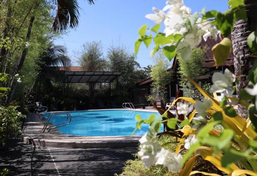 デラックスルーム, Domicilio Lorenzo