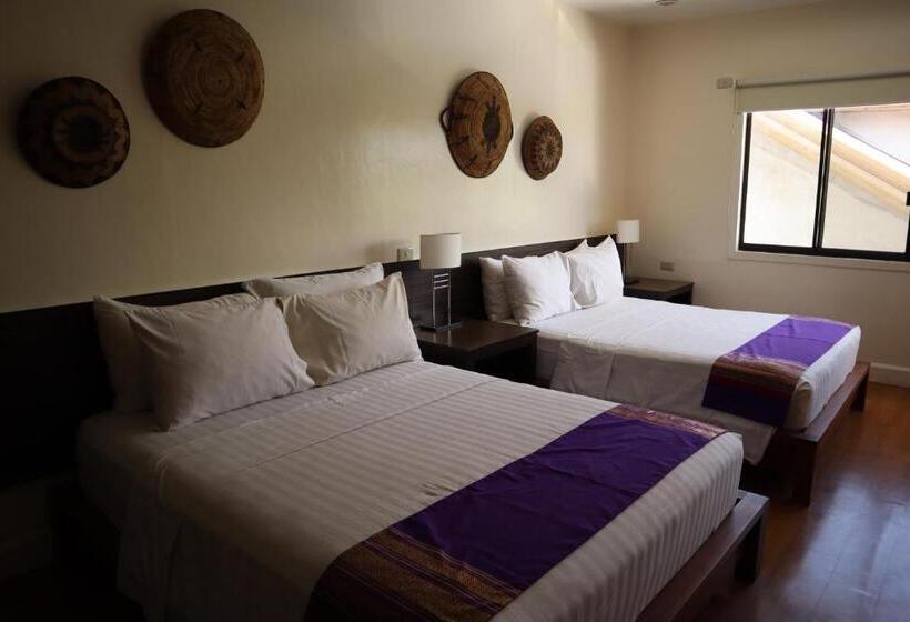 ジュニアスイート, Domicilio Lorenzo