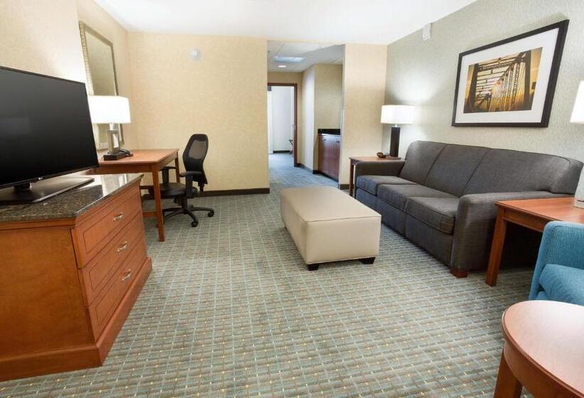 Студио Стандарт Кровать Кинг, Drury Inn & Suites Grand Rapids